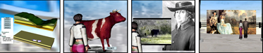 Cows